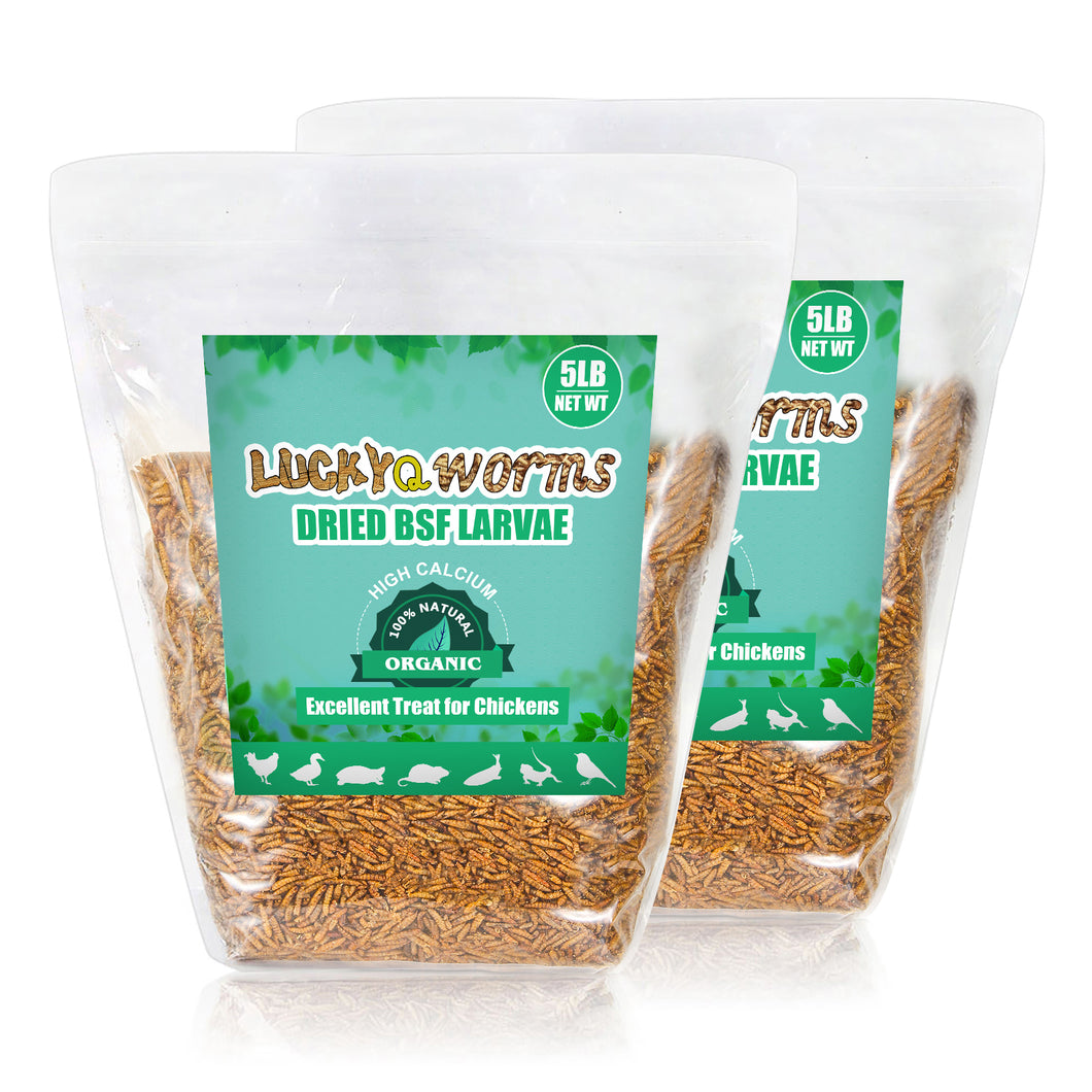 LuckyQworms Dried Black Solidier Fly Larvae 10LBS, High-Protein BSF Larvae Chicken Treats Non-GMO BSFL for Chickens, Hens, Ducks, Wild Birds