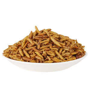 LuckyQworms Dried Black Solidier Fly Larvae 20LBS, High-Protein BSF Larvae Chicken Treats Non-GMO BSFL for Chickens, Hens, Ducks, Wild Birds