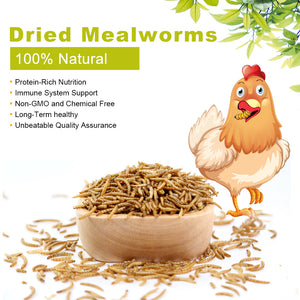 20lbs LuckyQworms Mealworms, Freeze Dried Mealworms for Birds Chickens Fish